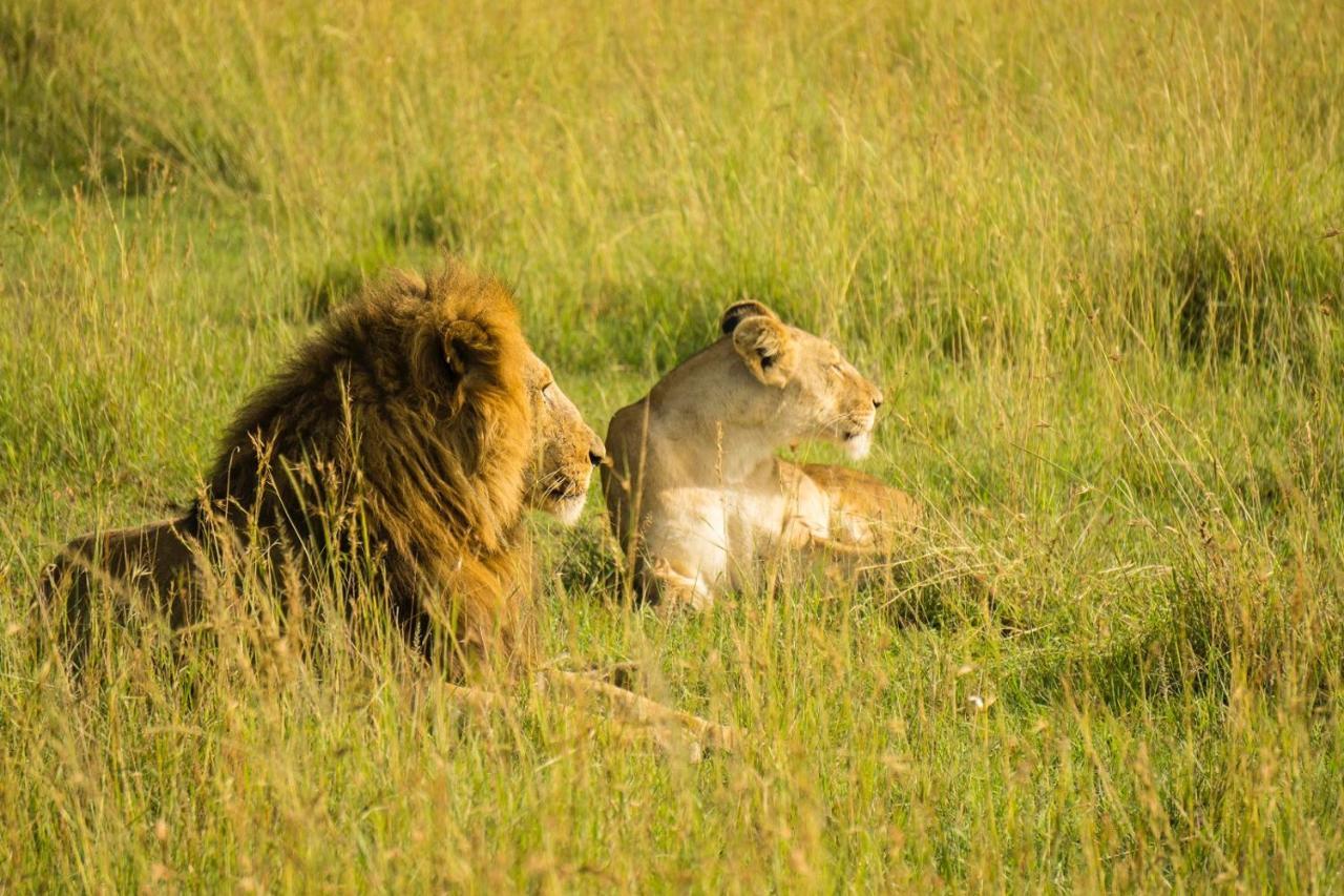 The Gir Harmony Hotel Sasan Gir Bagian luar foto